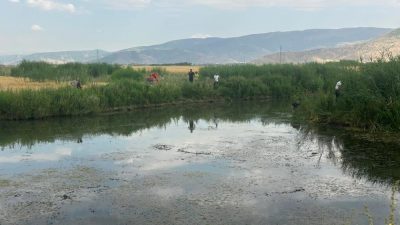Muş'un Sungu beldesinde dün öğleden sonra yürekleri yakan trajik bir