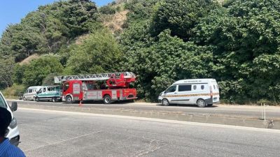 Hatay'ın Antakya ilçesinde ağaçlık alandan gelen kötü koku üzerine yapılan