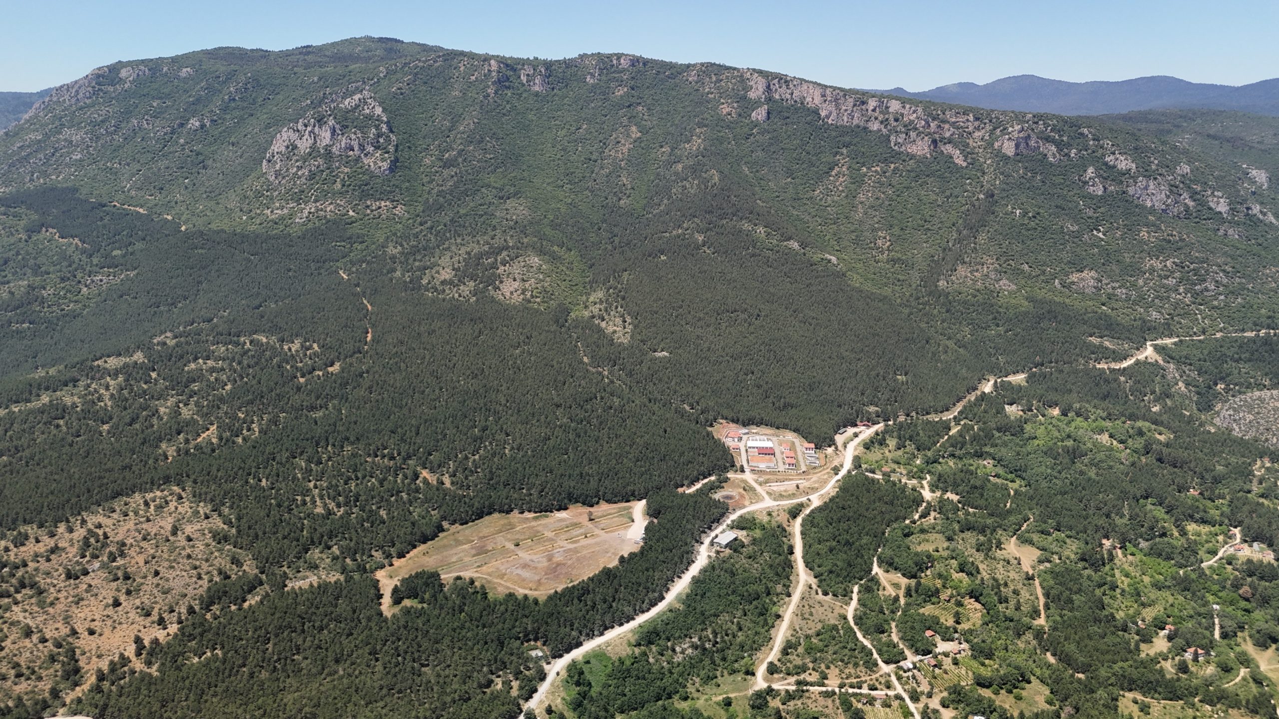 Üniversite öğrencisi ormanda asılı halde bulundu