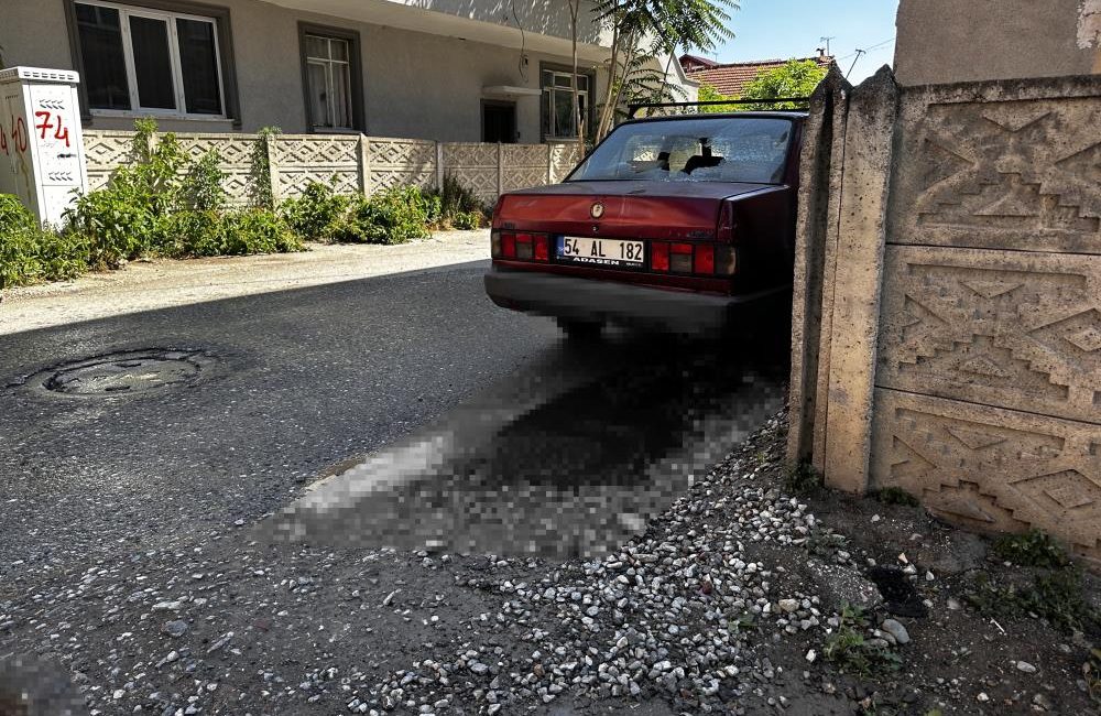 Komşu il Sakarya’nın Adapazarı ilçesi, sabahın erken saatlerinde güne silah
