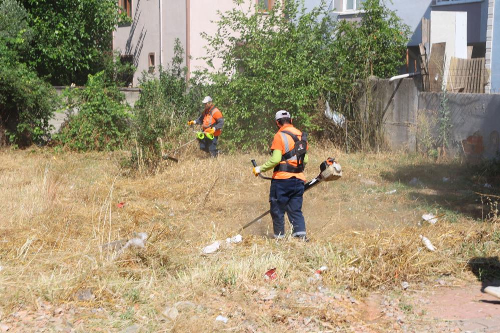 Darıca'da yaz mesaisi: Ekipler Sırasöğütler'de