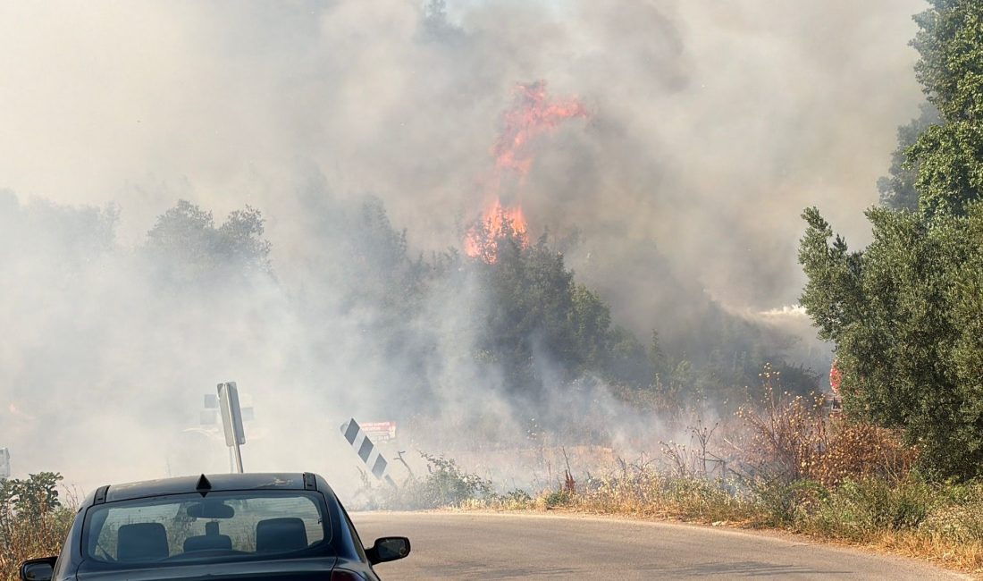 Bursa'nın İznik ilçesinde çöp depolama tesisinde çıkan yangın, kısa sürede