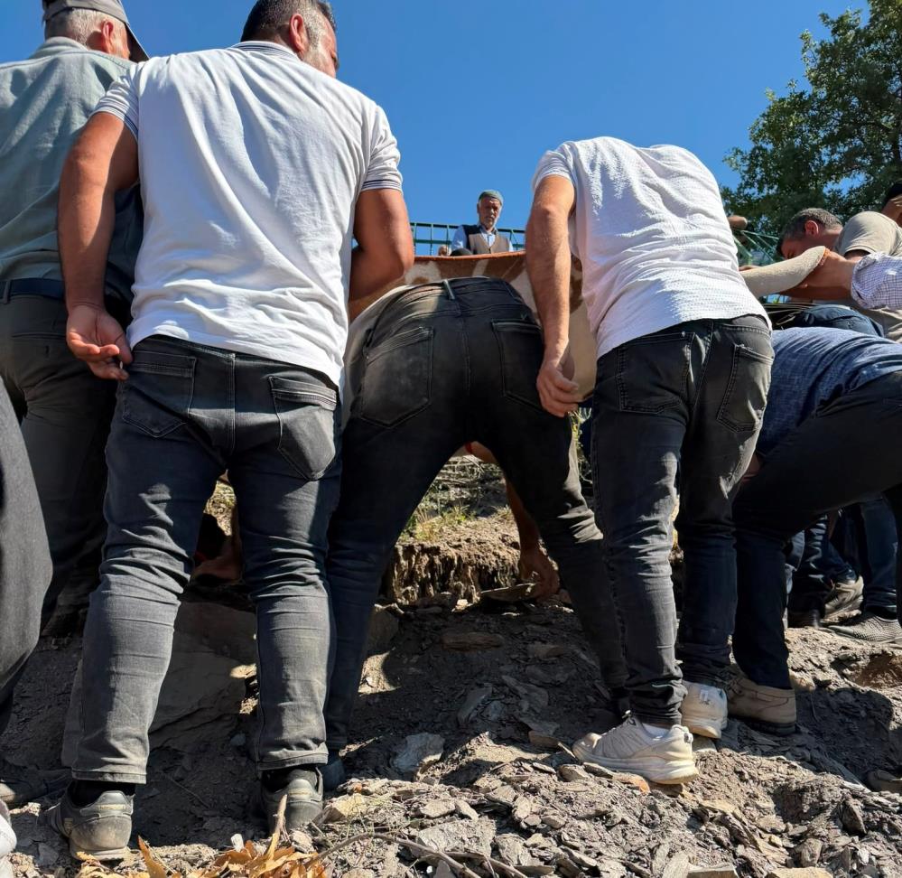 Yasak ilişkiyi fark etti: "Aile Meclisi" Kararıyla Katledildi!