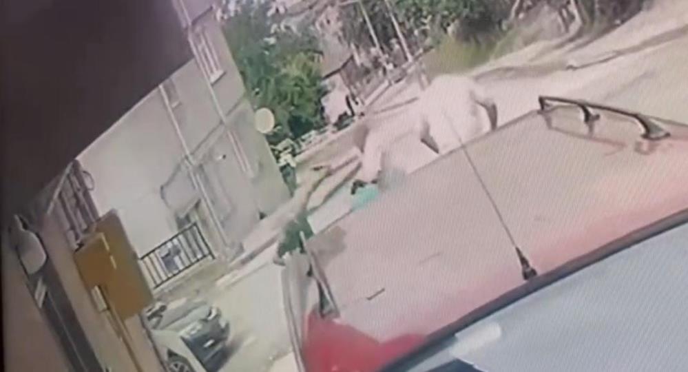 Aile katliamında yeni gelişme! Firari şüpheli teslim oldu