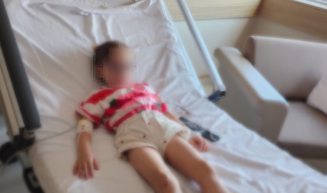Kocaeli'nin Gölcük ilçesinde eğitim gördüğü özel anaokulunun oyun alanında fare