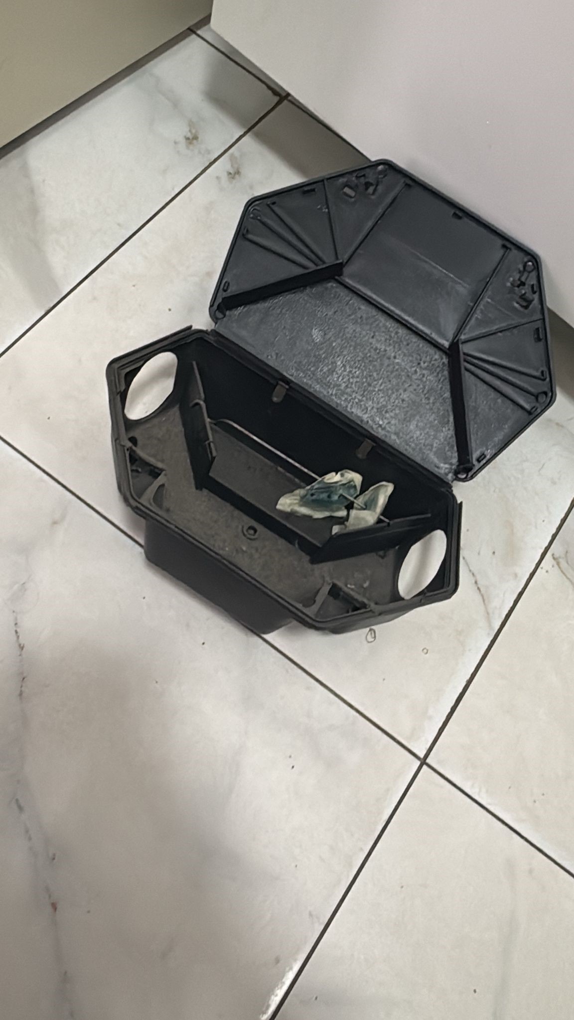 Kocaeli'de kreşte fare zehri skandalı!