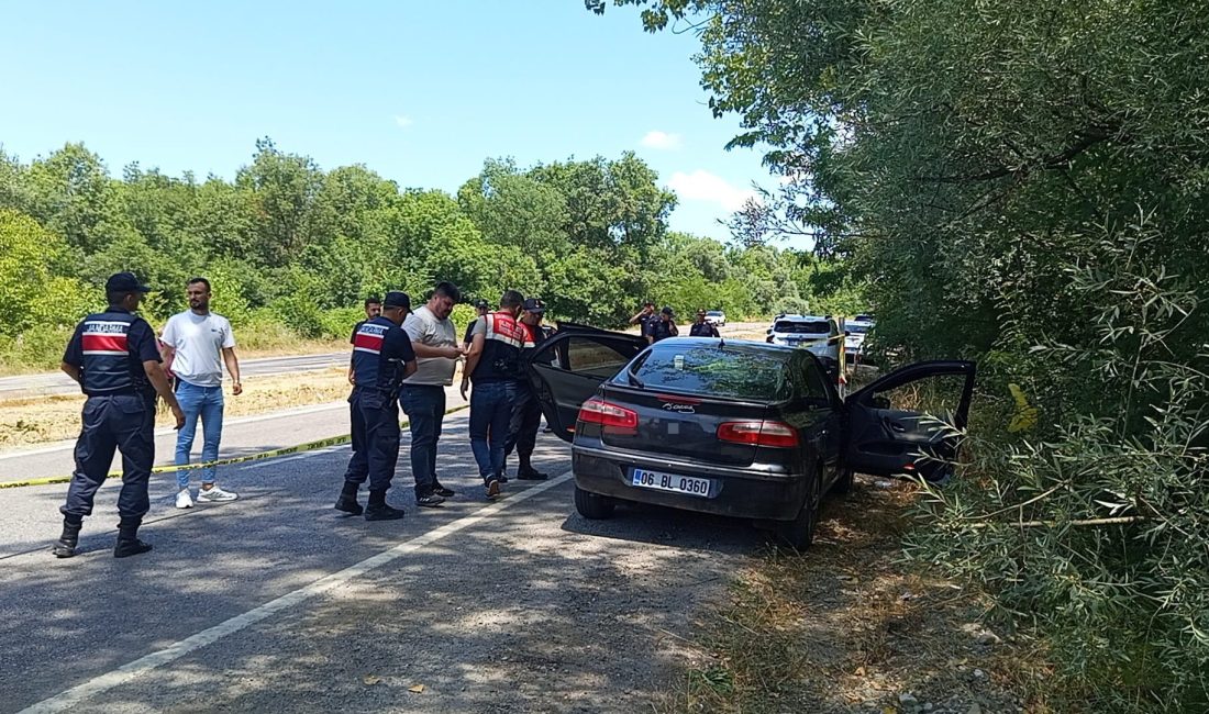 Zonguldak'ın Çaycuma ilçesinde 28 yaşındaki orman işçisi, yol kenarındaki aracında