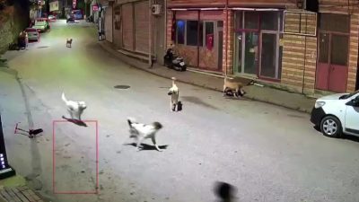 Ordu’nun Çamaş ilçesinde, scooterı ile evinin yolunu tutan küçük bir