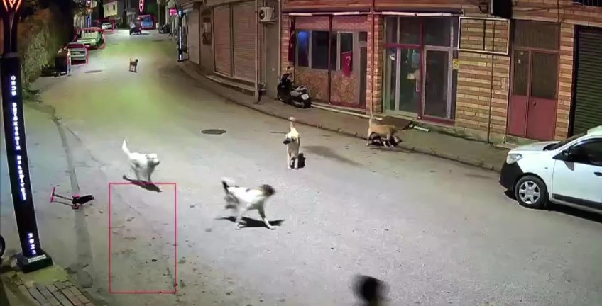 Ordu’nun Çamaş ilçesinde, scooterı ile evinin yolunu tutan küçük bir