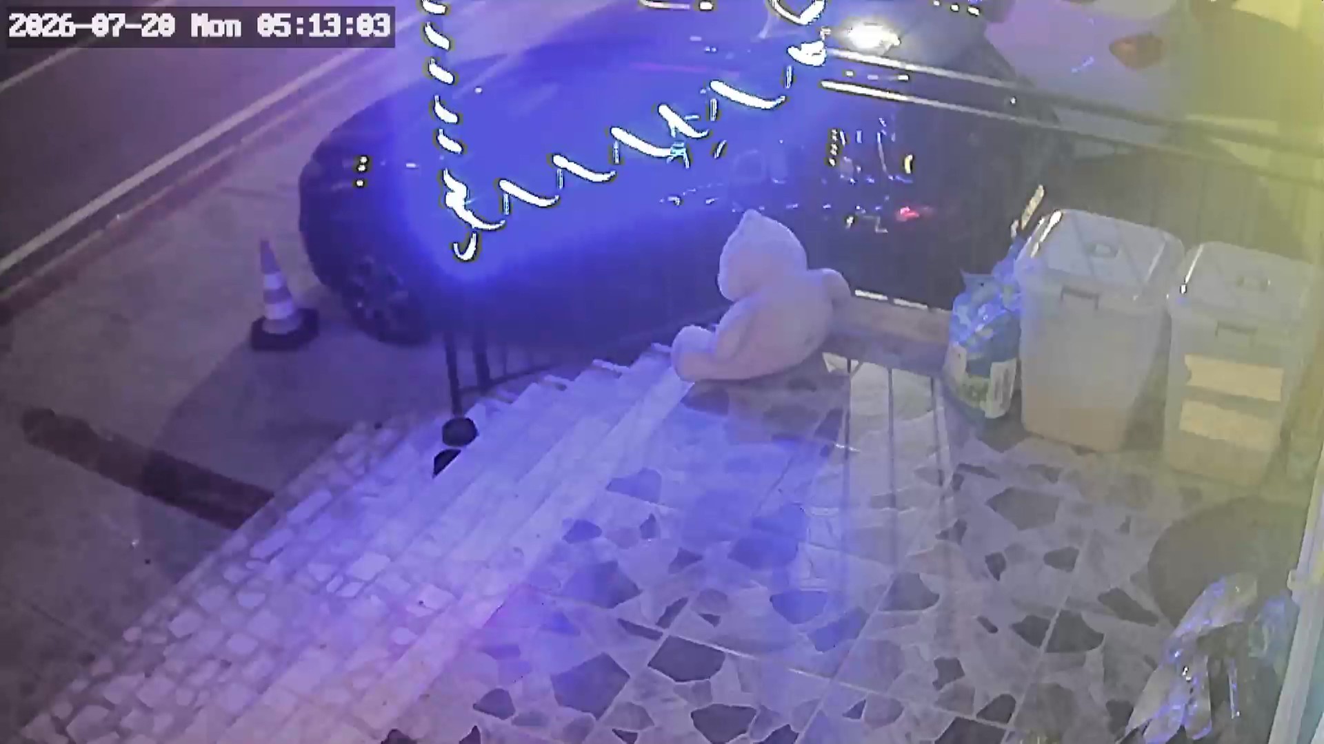 Kocaeli'de petshop önünde akılalmaz hırsızlık