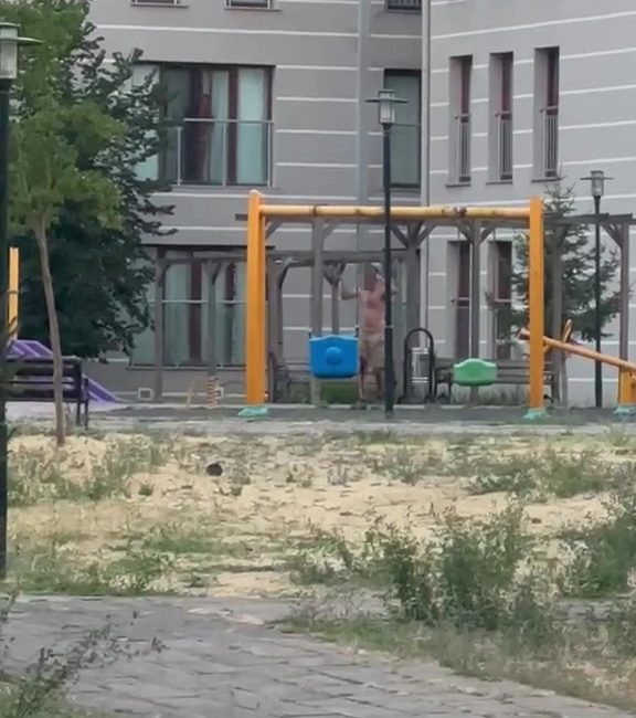 Kocaeli'de çocuk parkında elinde bıçak olan şahıs cinnet geçirdi. Polislerin
