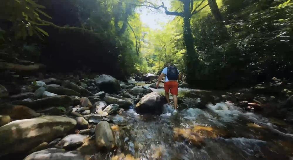 Kocaeli'de doğanın kalbine 3 saatlik yolculuk