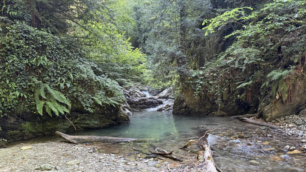 Kocaeli'nin Başiskele ile Kartepe ilçeleri arasında bulunan Serindere Kanyonu, 3