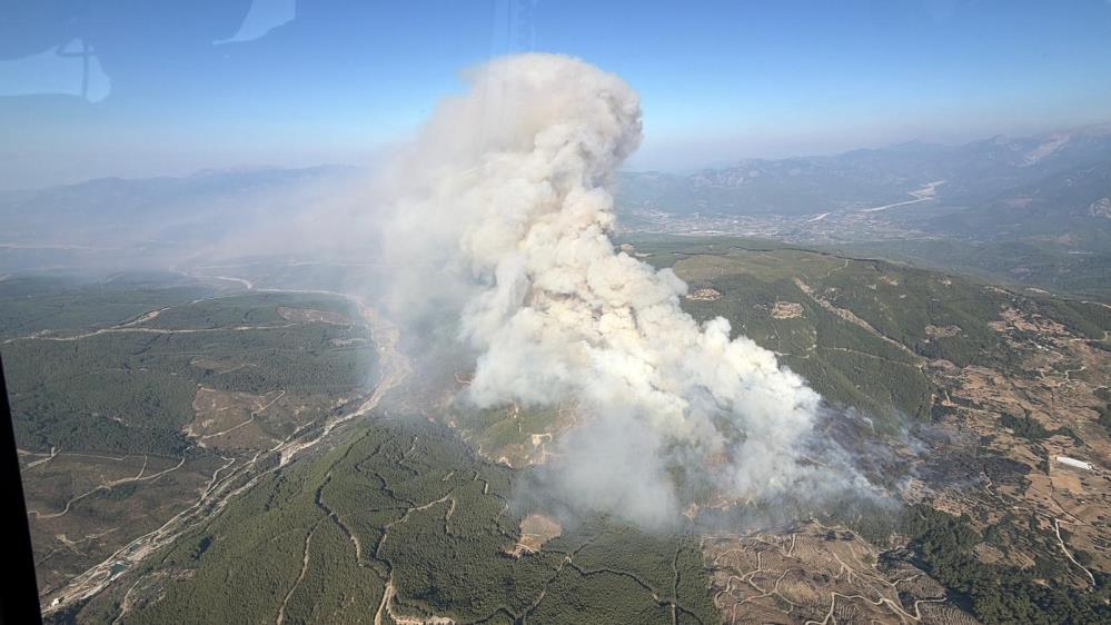 Muğla'nın Seydikemer ilçesinde ziraat alanında başlayan yangın ormana sıçradı. 65