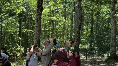 Kocaeli'nin Kartepe ilçesinde düzenlenen kuş gözlem etkinliğinde, Avrupa'nın en büyük