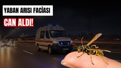 Sakarya'nın Hendek ilçesinde yaban arısı sokan 78 yaşındaki Rabiye Tanır,