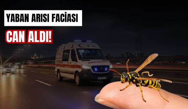 Sakarya'nın Hendek ilçesinde yaban arısı sokan 78 yaşındaki Rabiye Tanır,
