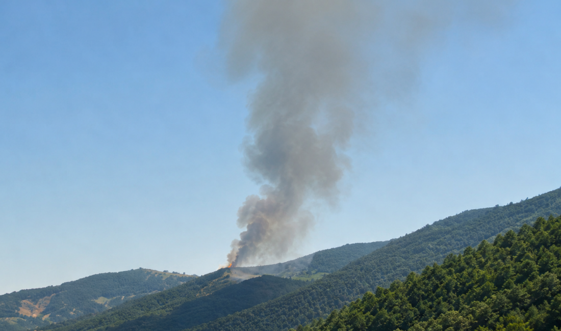 Kocaeli'nin Gölcük ilçesinde belediyeye ait çöp toplama alanında yangın çıktı.