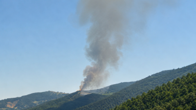 Kocaeli'nin Gölcük ilçesinde belediyeye ait çöp toplama alanında yangın çıktı.