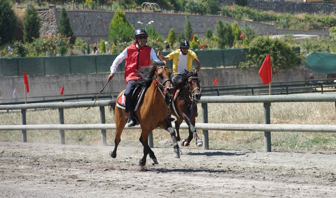 Kocaeli Büyükşehir Belediyesi, Gölcük Belediyesi ve Geleneksel Atlı Spor Dalları