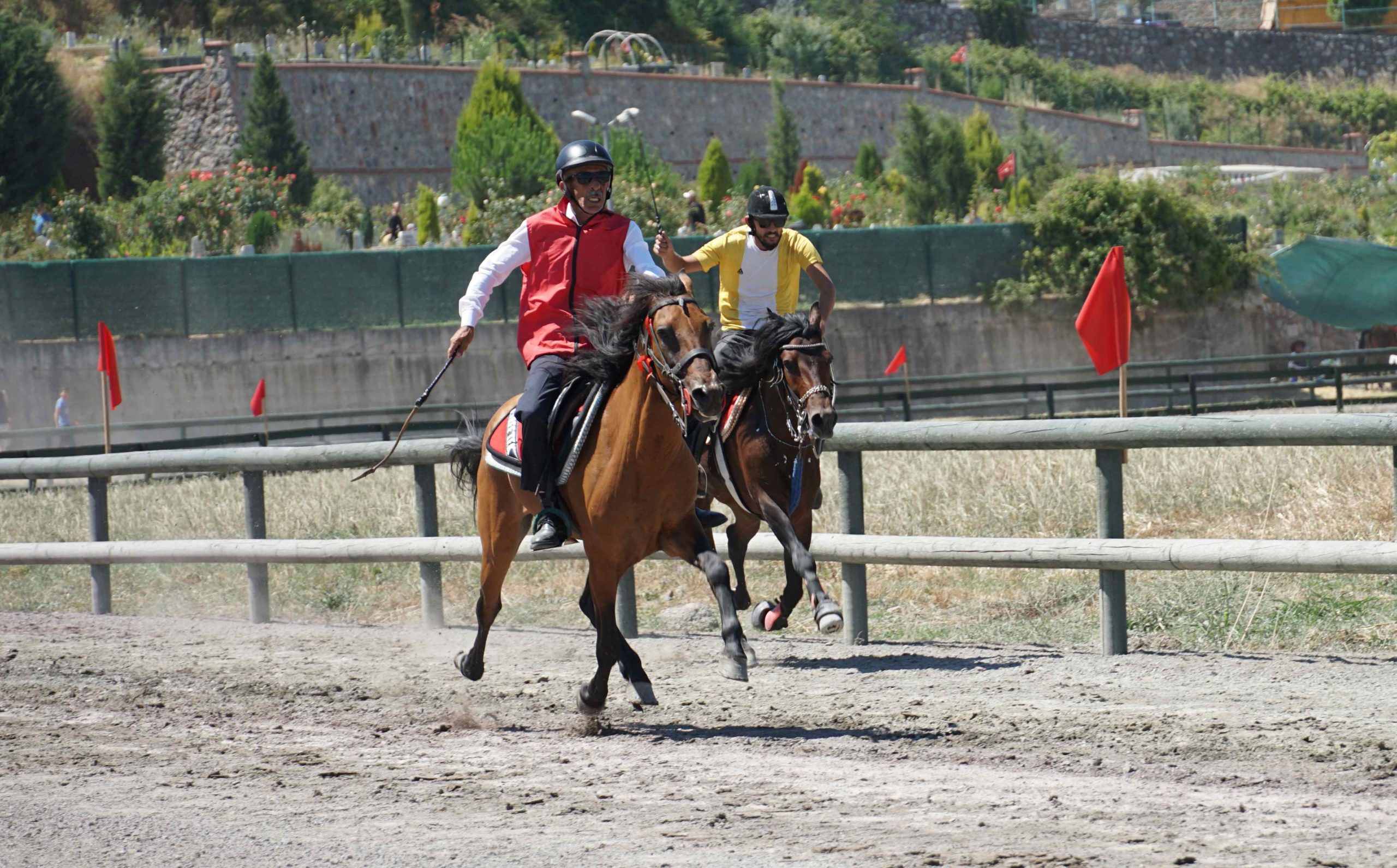 Kocaeli Büyükşehir Belediyesi, Gölcük Belediyesi ve Geleneksel Atlı Spor Dalları