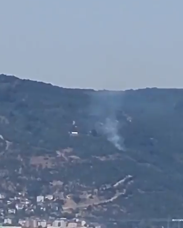 Kocaeli'de ormanda yangın!