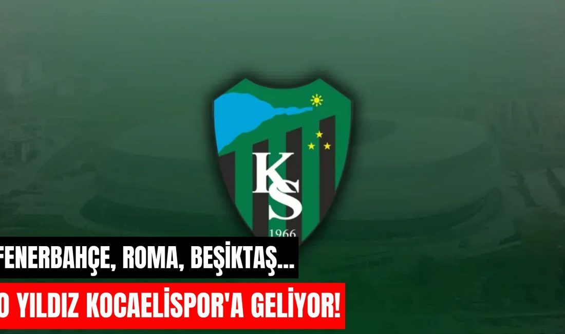 Fenerbahçe altyapısından yetişen, Roma, Alanyaspor ve Beşiktaş formaları giyen Salih