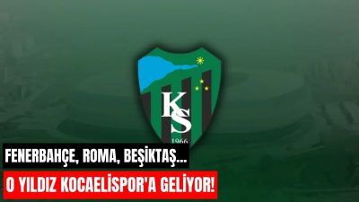 Fenerbahçe altyapısından yetişen, Roma, Alanyaspor ve Beşiktaş formaları giyen Salih
