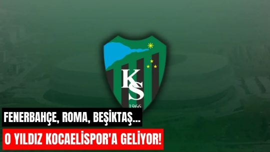 Fenerbahçe altyapısından yetişen, Roma, Alanyaspor ve Beşiktaş formaları giyen Salih