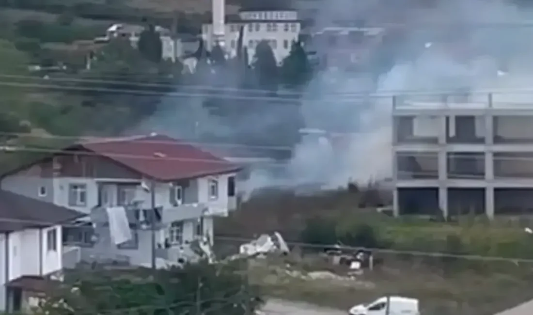 Kocaeli'nin İzmit ilçesine bağlı Alikahya Merkez Mahallesi'nde bir evin bahçesinde