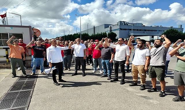 Kocaeli'nin Gebze ilçesinde faaliyet yürüten Birleşik Krallık sermayeli Vesuvius İstanbul