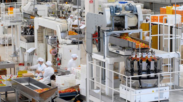 Kocaeli'de dev fabrika 20 personel alacak