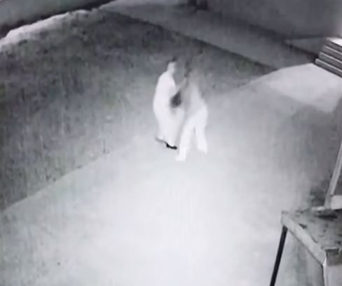 İzmit'te cami imamına saldırı gerçekleşti! Sert tepkiler yağıyor