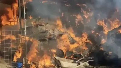 Kocaeli’nin İzmit ilçesinde bir besi çiftliğinde çıkan ve rüzgarın etkisiyle
