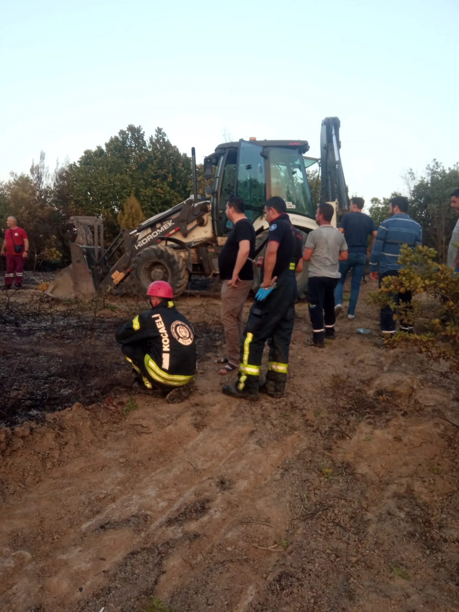 Son dakika... Kocaeli'de orman yangını