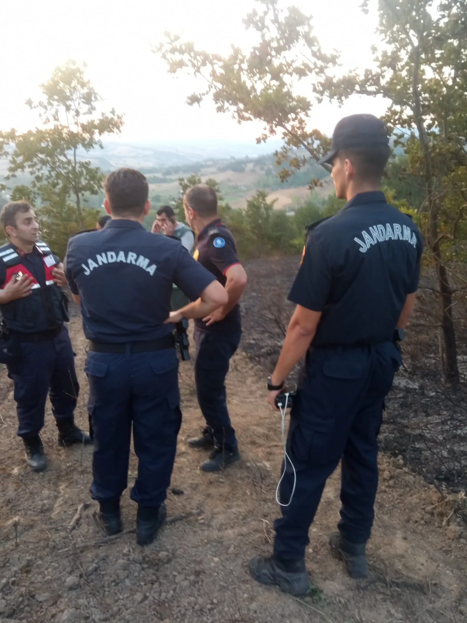 Son dakika... Kocaeli'de orman yangını