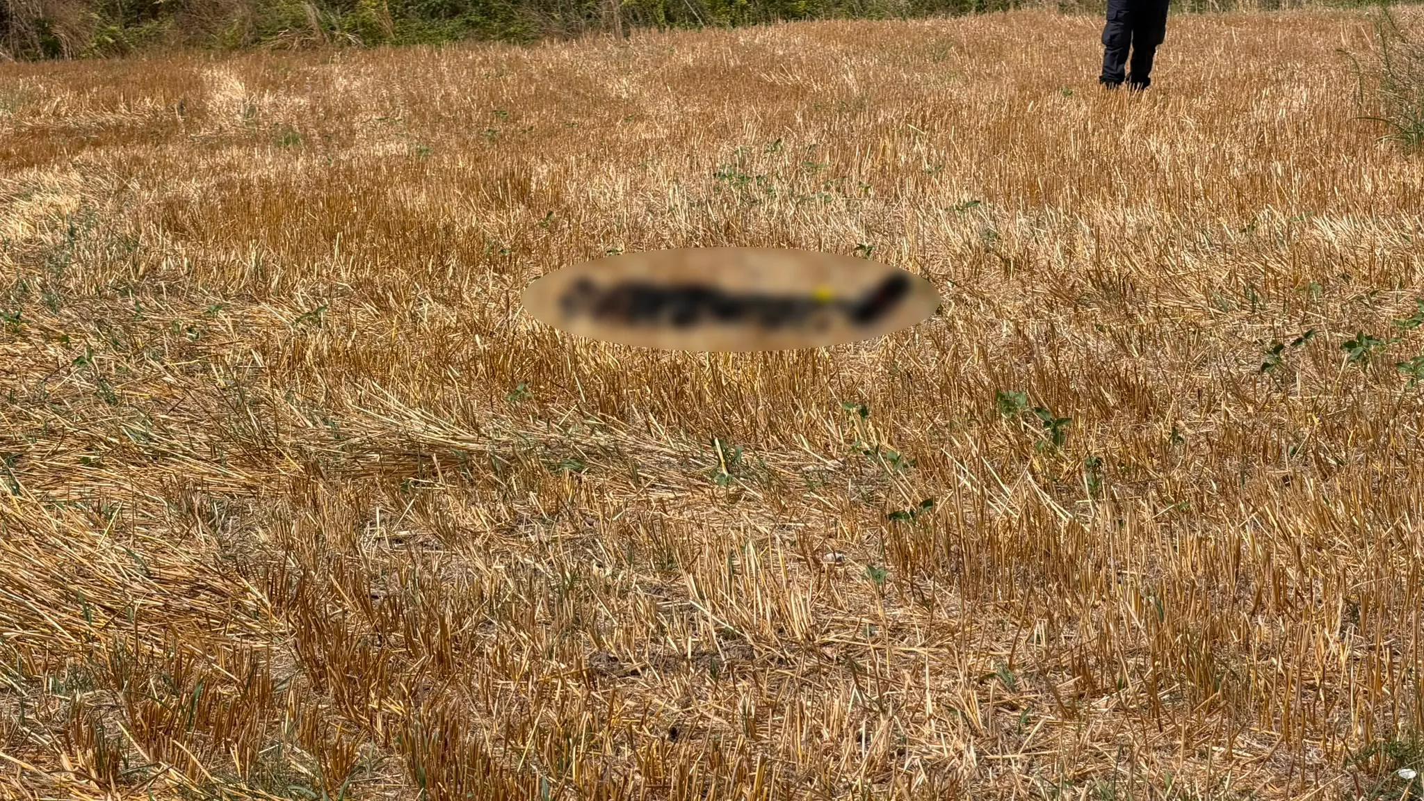 75 yaşındaki kayıp şahsın cansız bedeni farklı ilde bulundu