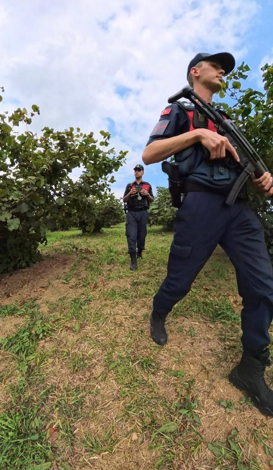 Kocaeli'de jandarma tarlaları ablukaya aldı