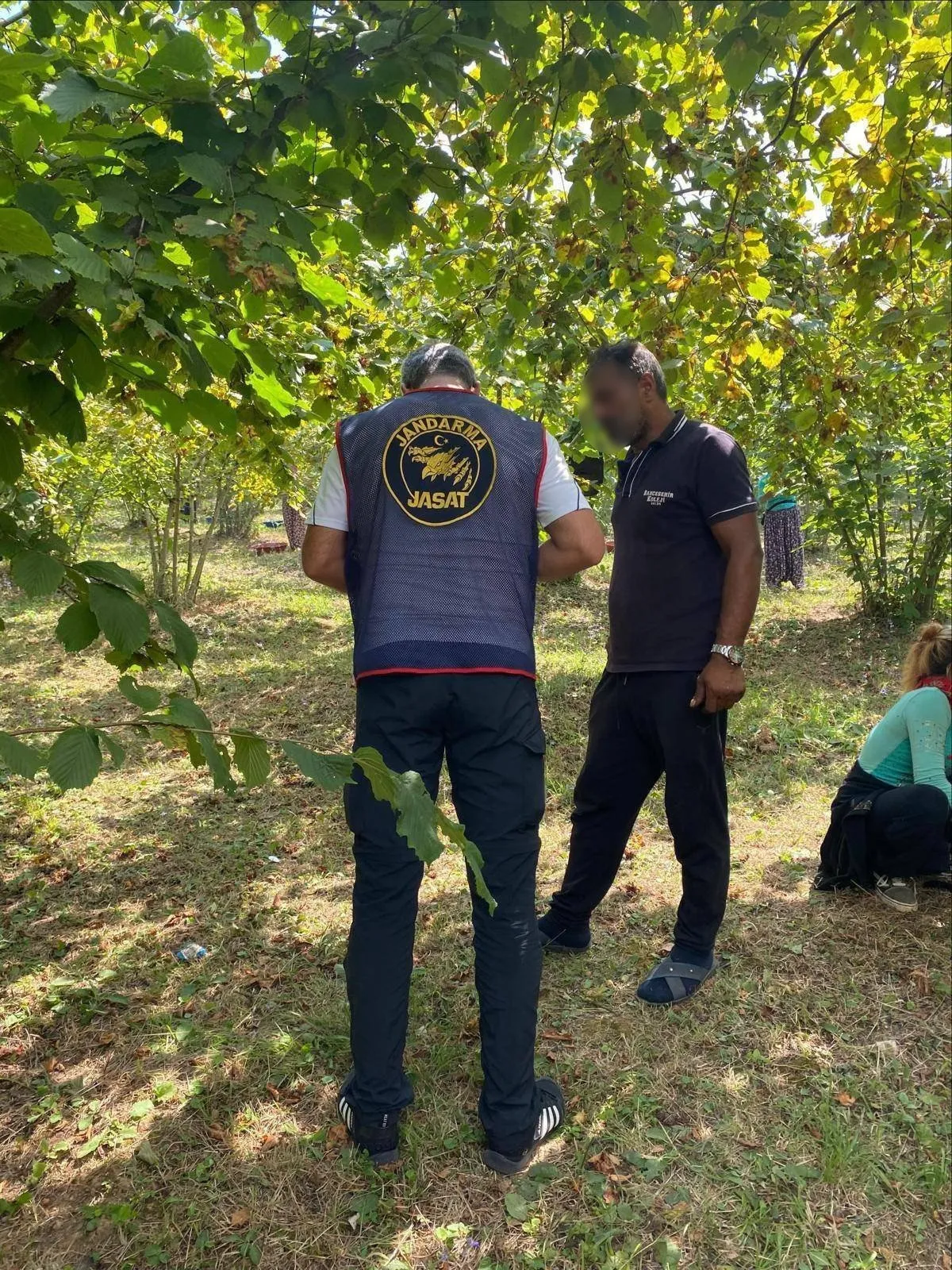 Kocaeli'de jandarma tarlaları ablukaya aldı