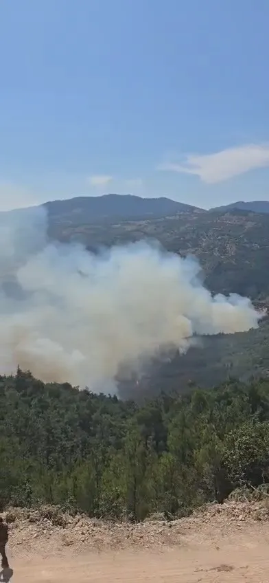 Son dakika... Balıkesir'deki orman yangını başka ilimize ilerliyor: 300'ü aşkın personel seferber oldu