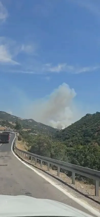 Son dakika... Balıkesir'deki orman yangını başka ilimize ilerliyor: 300'ü aşkın personel seferber oldu