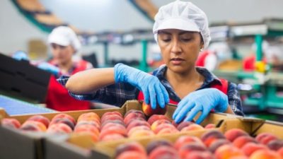 İnsan kaynakları çözümleri alanında küresel lider konumda yer alan Adecco