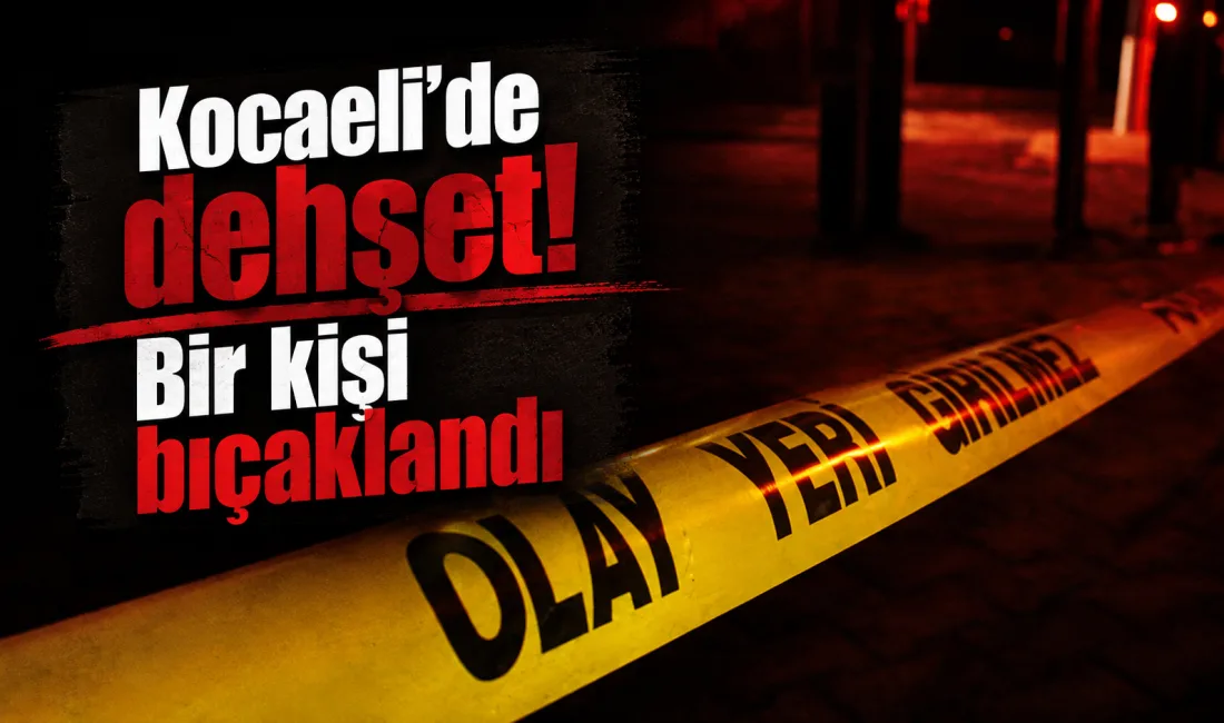 Kocaeli'nin Gölcük ilçesi Merkez Mahallesi Cumhuriyet Caddesi üzerinde gece saatlerinde
