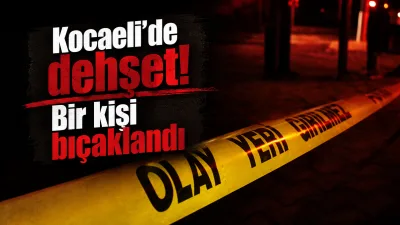 Kocaeli'nin Gölcük ilçesi Merkez Mahallesi Cumhuriyet Caddesi üzerinde gece saatlerinde