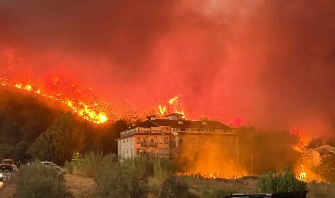 Muğla’nın Fethiye ilçesi Karagedik Mahallesi’nde çıkan orman yangını rüzgârla büyüdü.