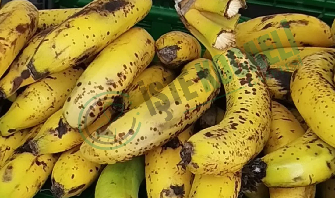 Kocaeli'nin İzmit ilçesinde faaliyet gösteren bir zincir market şubesinde reyonlara