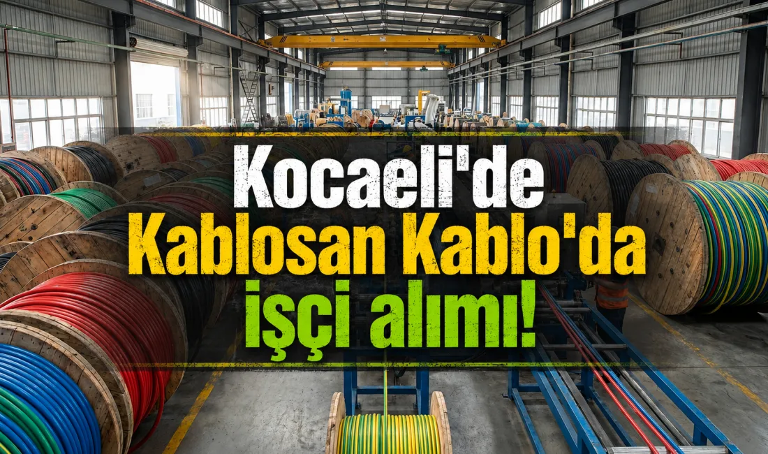 Kocaeli'nin sanayi ve üretim merkezlerinden biri olan Dilovası ilçesinde faaliyetlerini