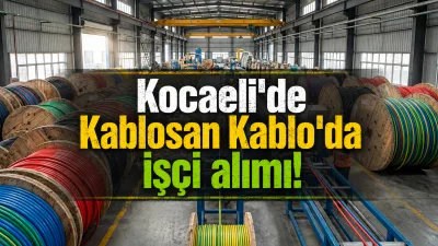 Kocaeli'nin sanayi ve üretim merkezlerinden biri olan Dilovası ilçesinde faaliyetlerini
