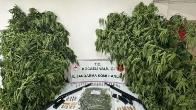 Kocaeli'de polis ve jandarma ekiplerinin son bir haftada düzenlediği 151