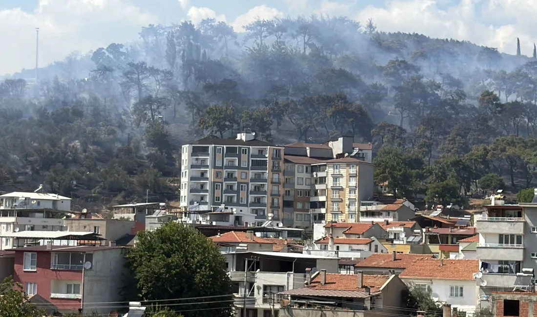 Balıkesir'in Edremit ilçesinde Kazdağları'nın eteklerinde bulunan Kadıköy mevkinde başlayan orman